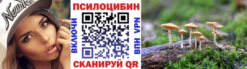 KRAKEN ссылки  Лихославль  Псилоцибиновые грибы Psilocybine cubensis 